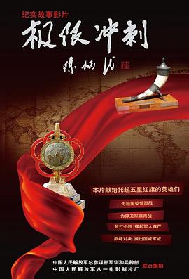 页面访问升级永久影视海报