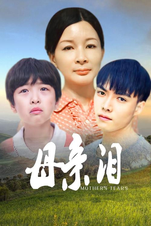 电视剧绝密任务影视海报