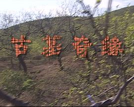 japanhdv韩国免费频道影视海报