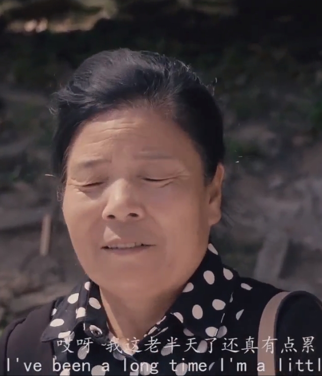 叛逃粤语影视海报