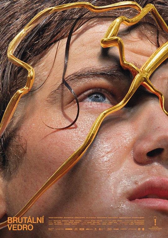 聚会的目手机在线观看影视海报