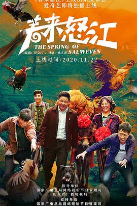 至尊计状元才国语版影视海报