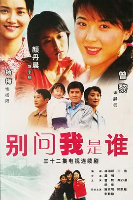 电视剧叶落长安完整版影视海报